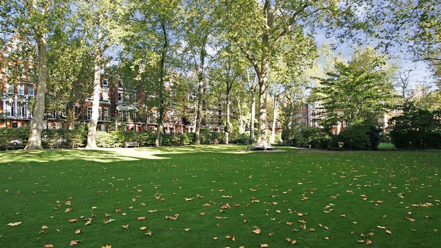 Communal Garden