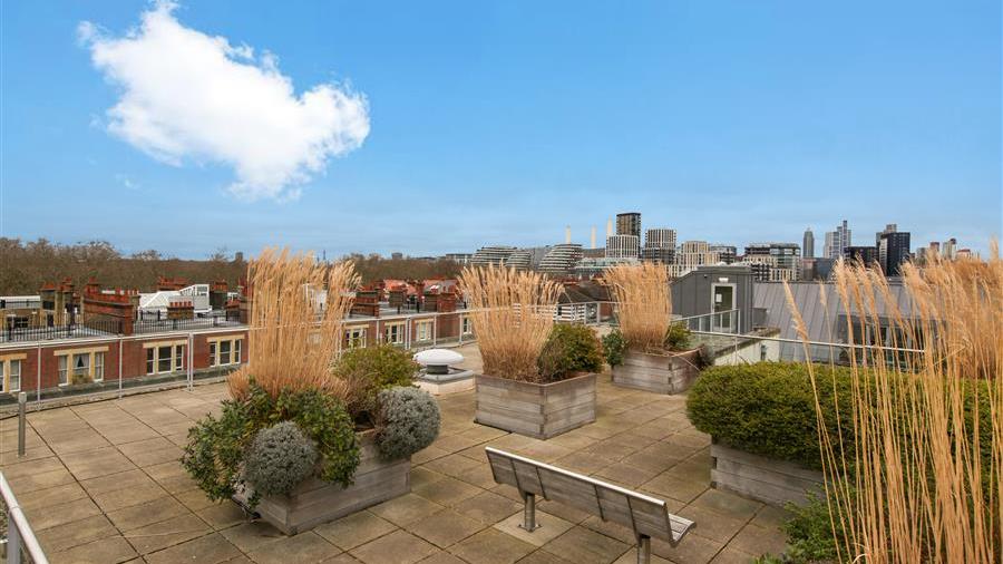 Communal Garden