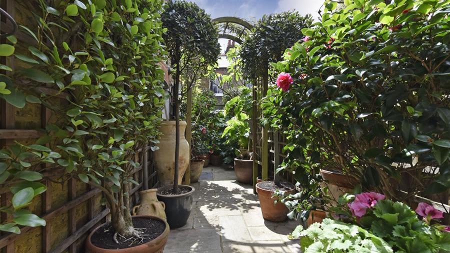 Garden