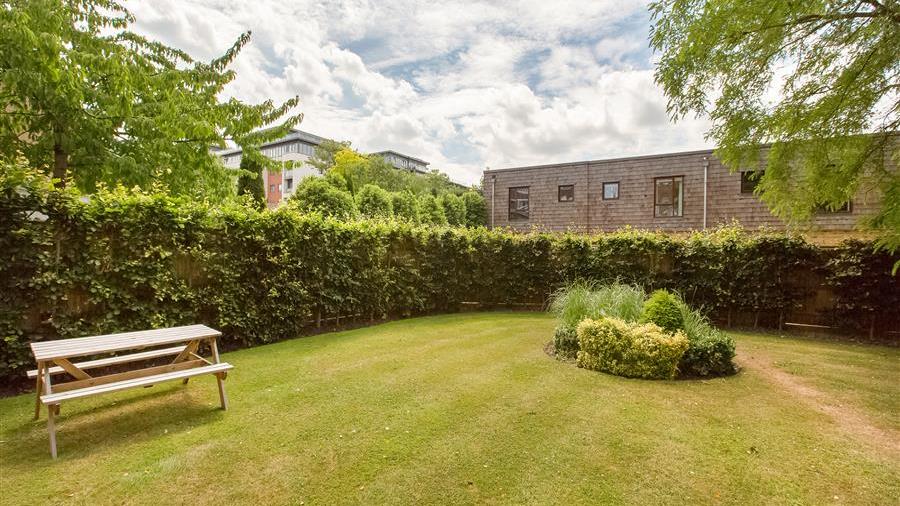 Communal Garden
