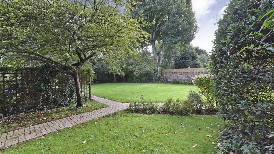 Communal Garden