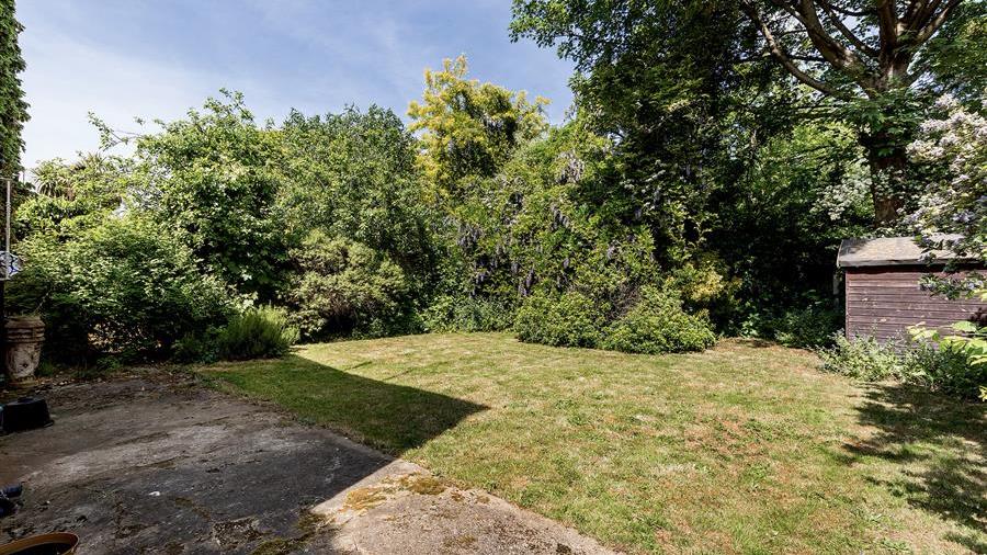 Communal Garden
