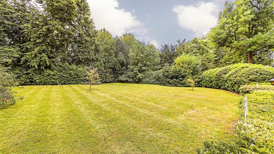 Communal Garden