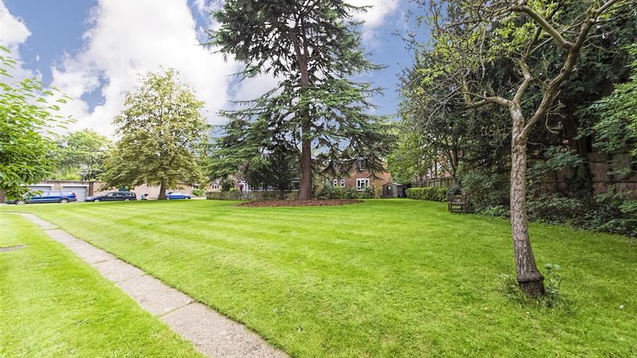 Communal Garden