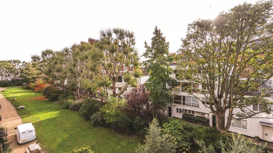 Communal Garden