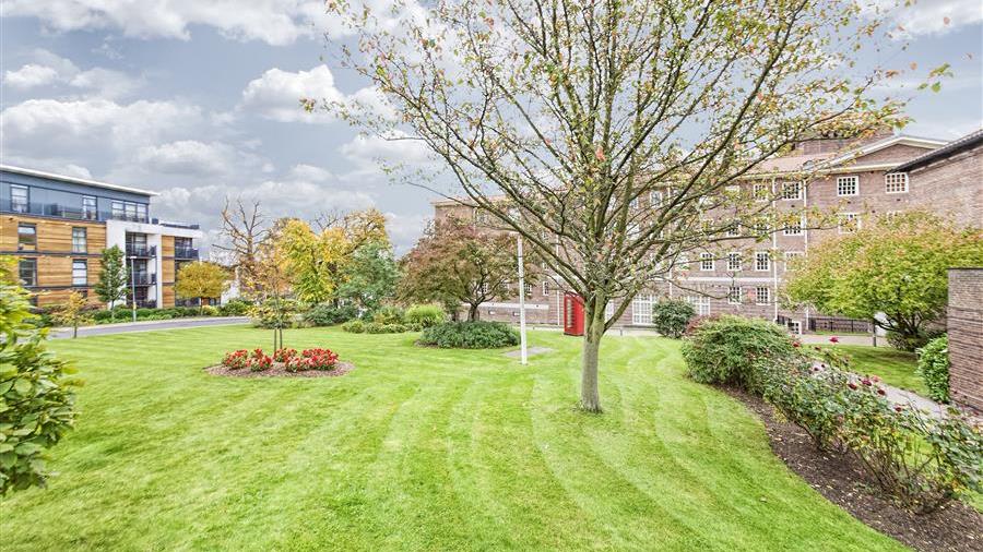 Communal Garden