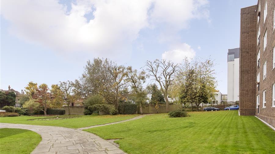Communal Garden