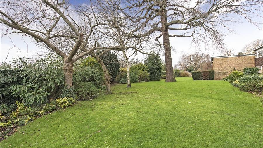 Communal Garden