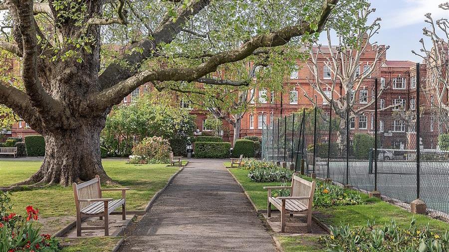 Communal Garden