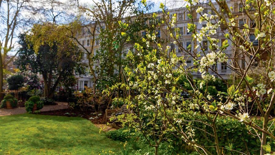 Communal Garden