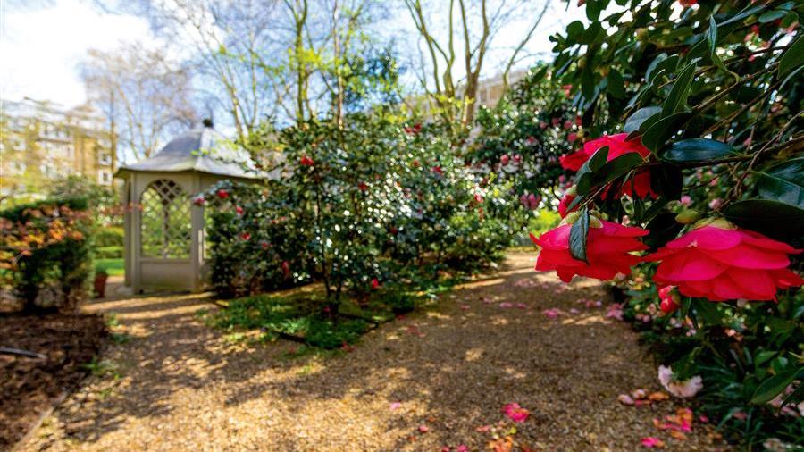 Communal Garden