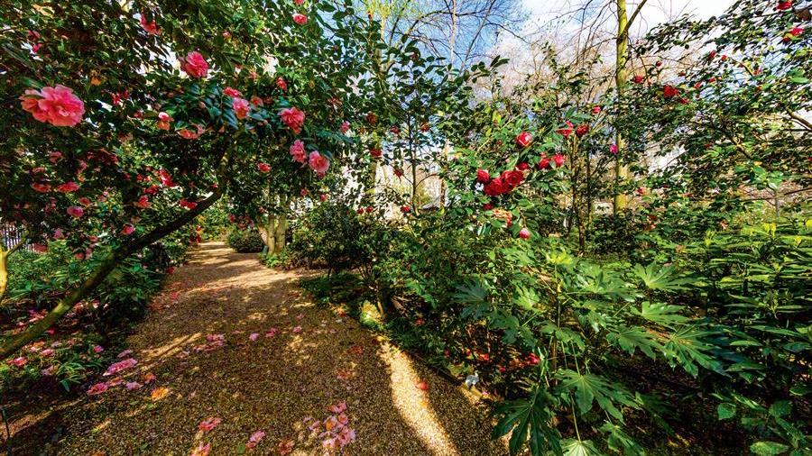 Communal Garden