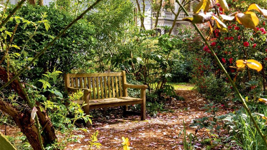 Communal Garden