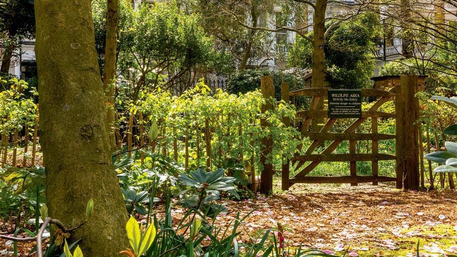 Communal Garden