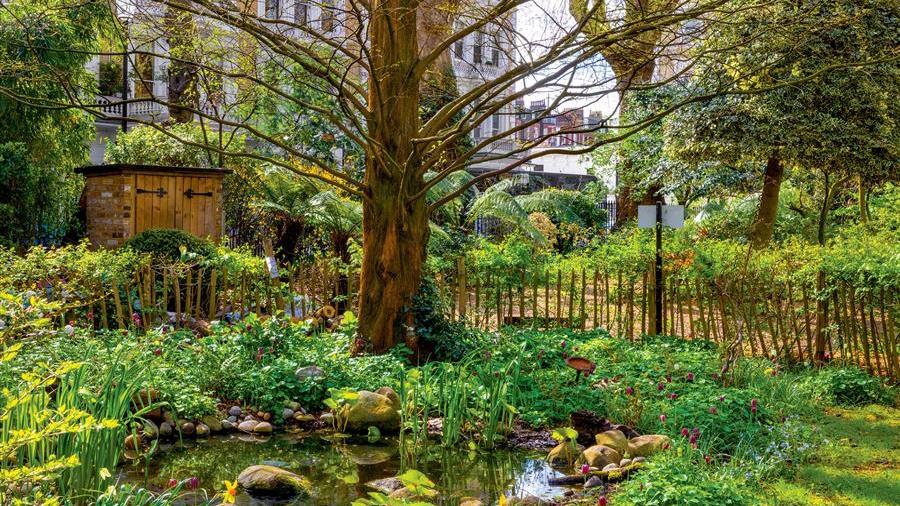 Communal Garden