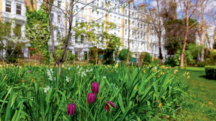 Communal Garden