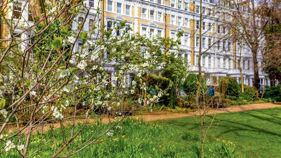 Communal Garden
