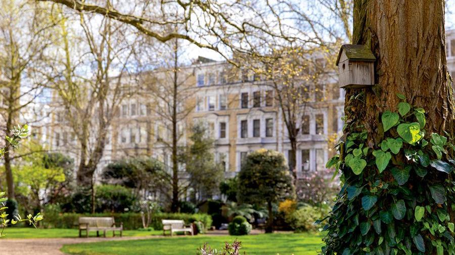 Communal Garden