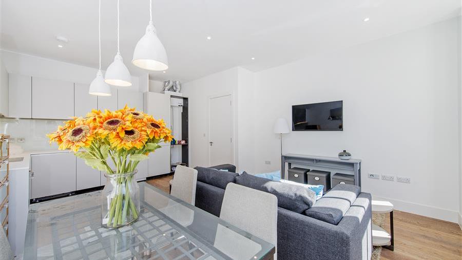 Kitchen/Reception Room