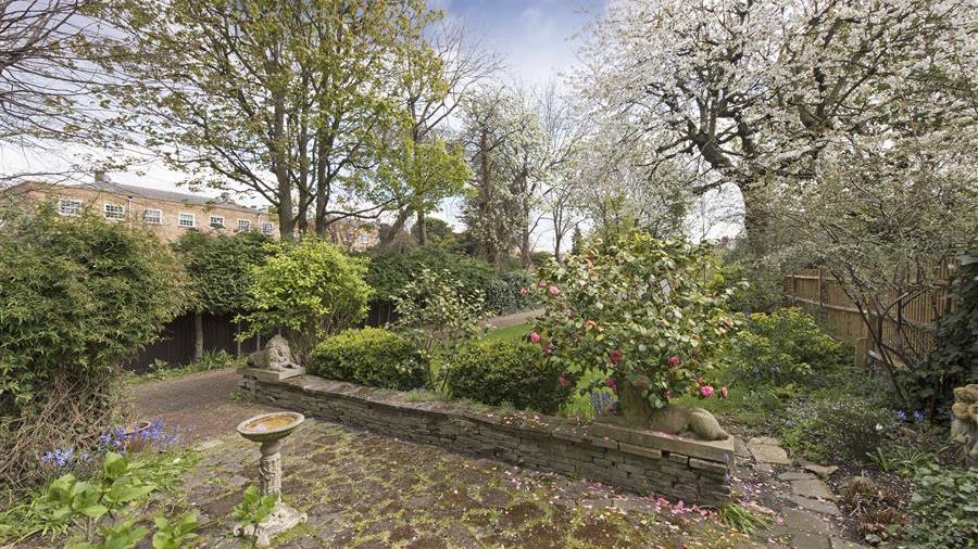Communal Garden