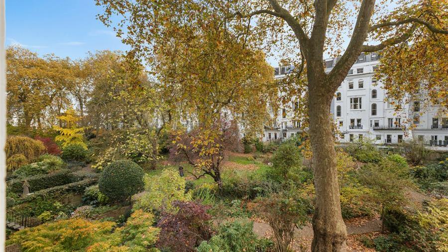 Communal Garden