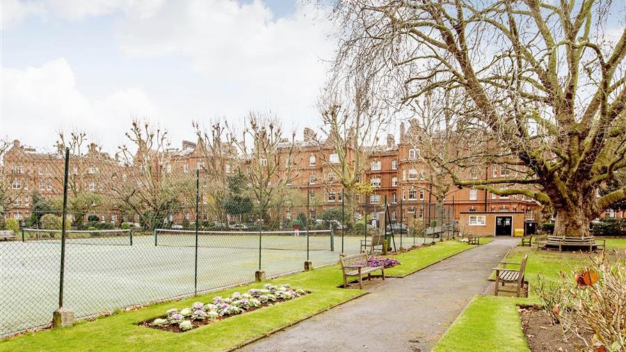 Communal Garden