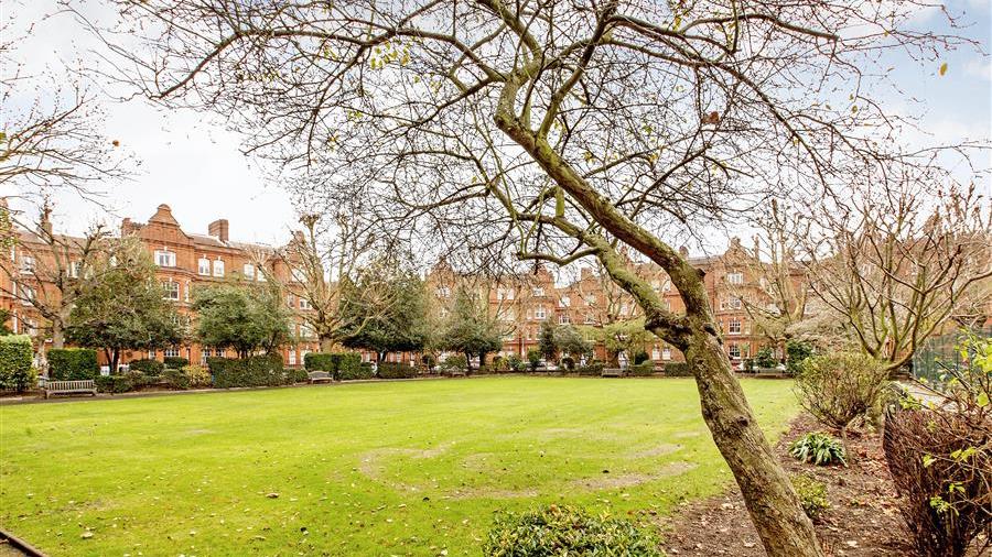 Communal Garden