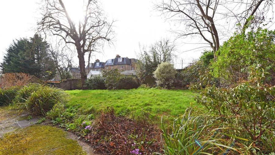 Communal Garden