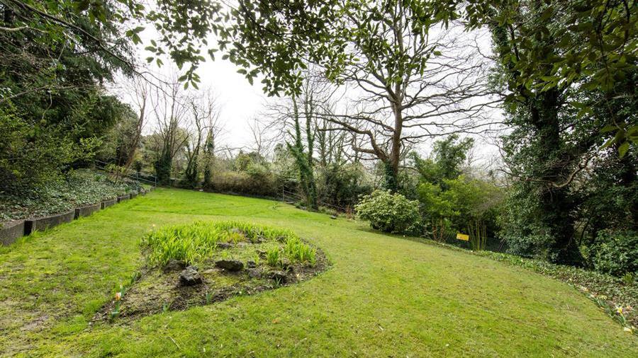 Communal Garden
