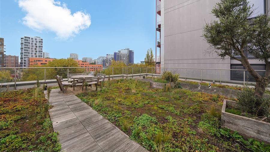 Communal Garden