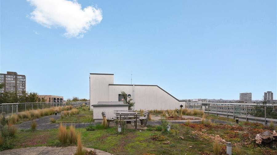 Communal Garden