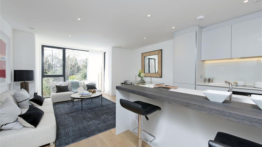 Kitchen/Reception Room