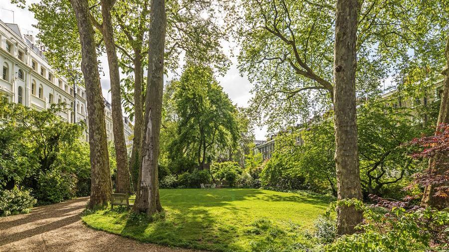 Communal Garden