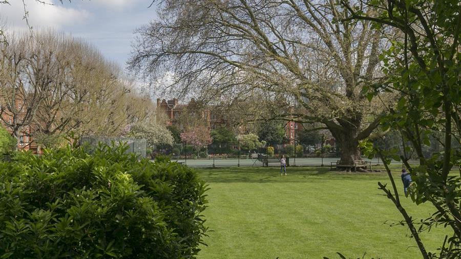 Communal Garden