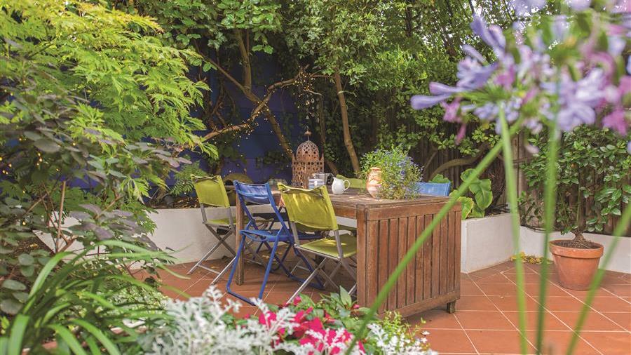 Garden