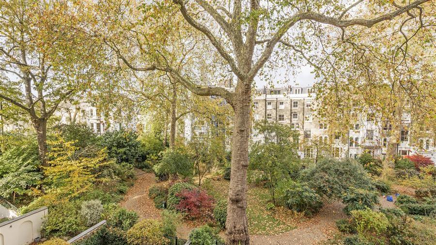 Communal Garden