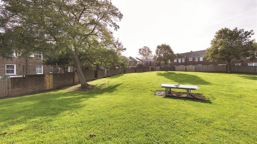Communal Garden