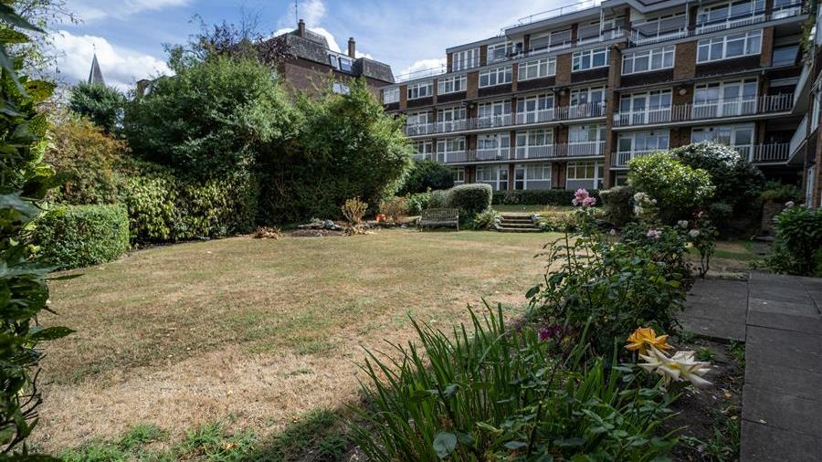 Communal Garden