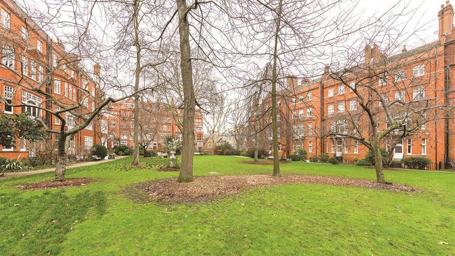 Communal Garden