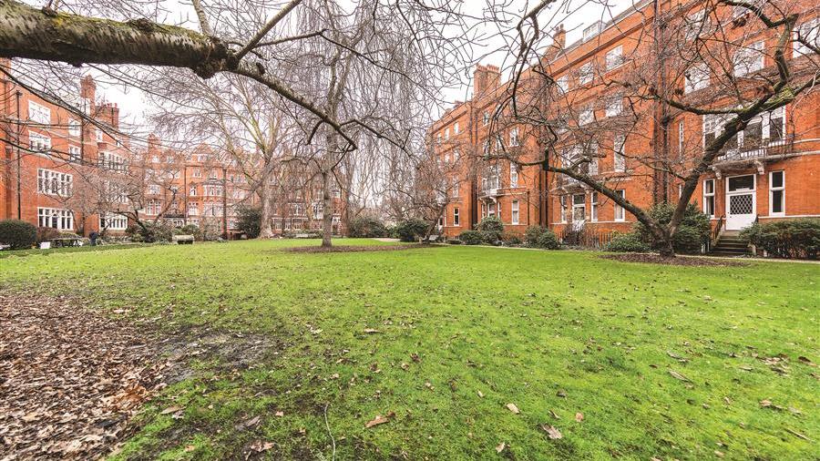 Communal Garden