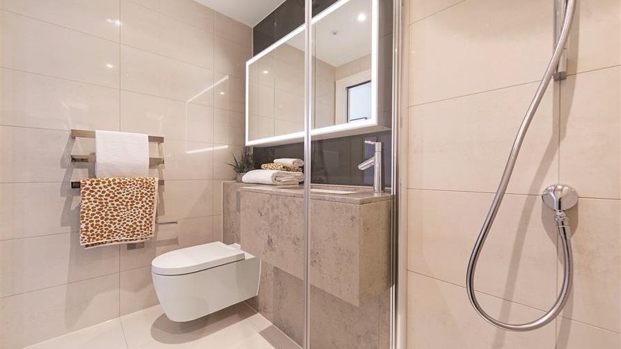Shower Room