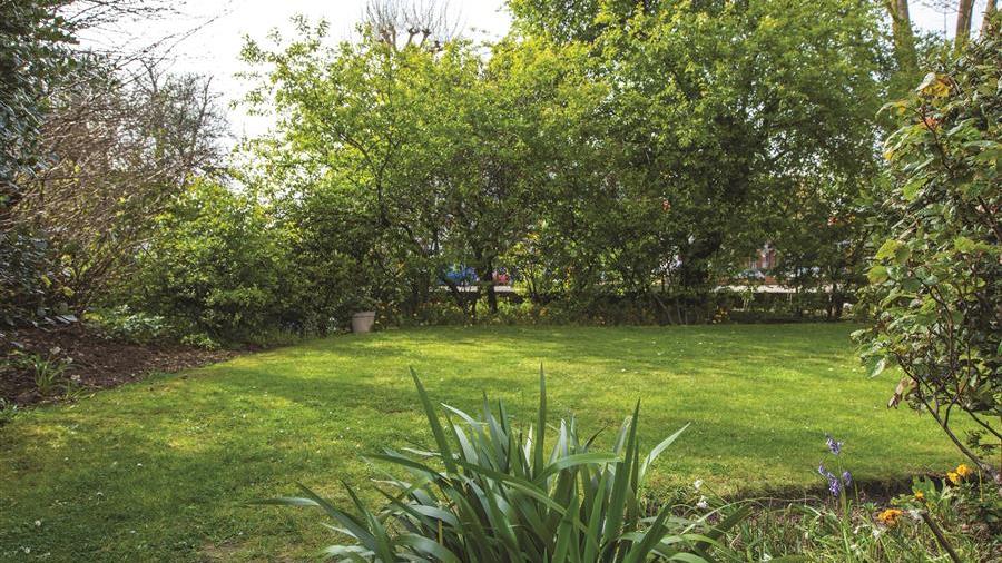 Communal Garden