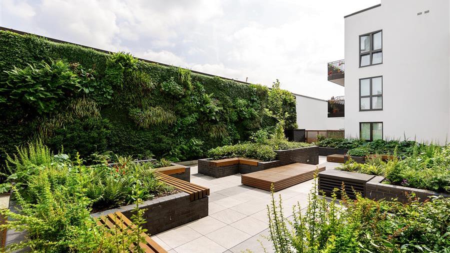 Communal Garden