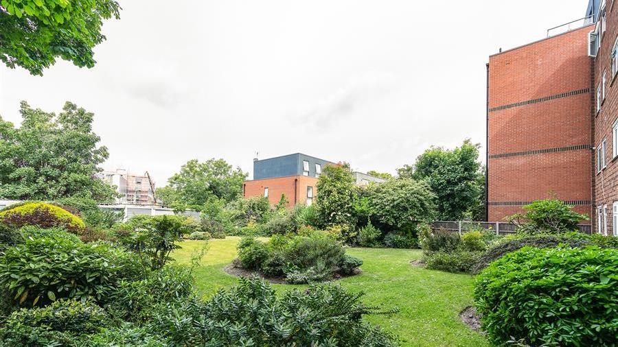 Communal Garden