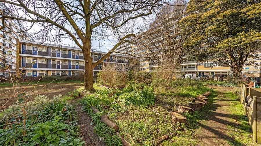 Communal Garden