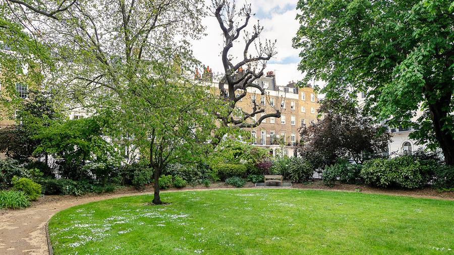 Communal Garden