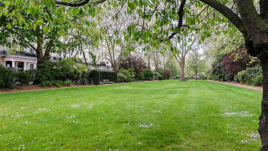Communal Garden