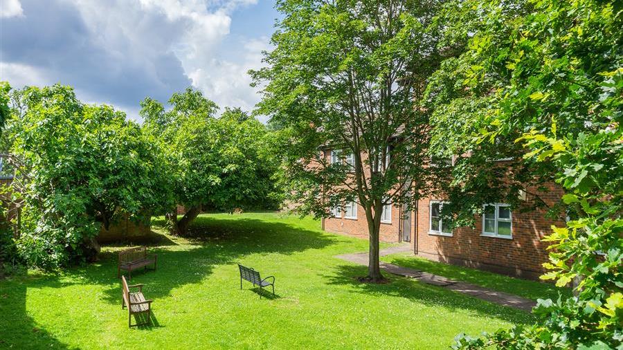 Communal Garden
