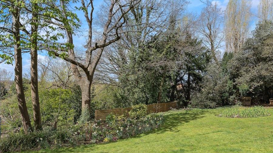 Communal Garden