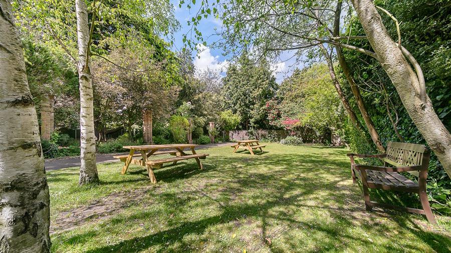 Communal Garden